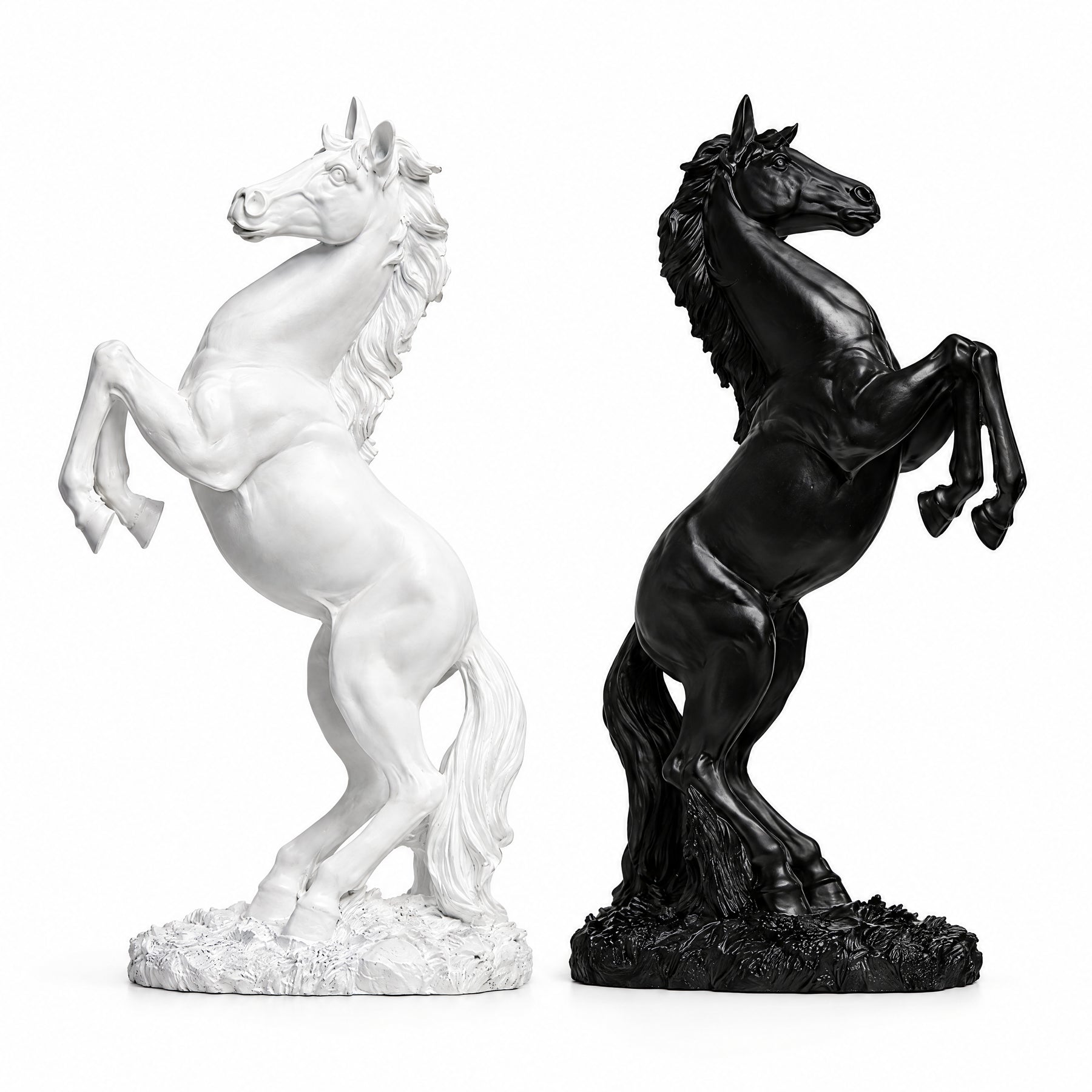 The Royal Horse — white background product photograph